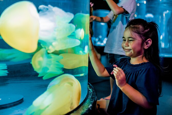 SEA LIFE Sydney Aquarium Entrance Ticket - Shark Valley and the Tank Tunnels: Close-Up Views Without Planning Around Them