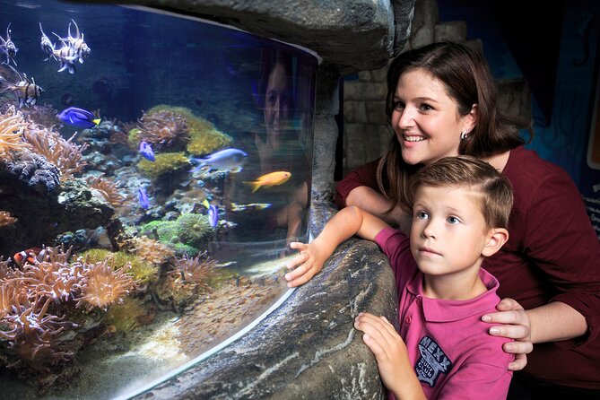 SEA LIFE Timmendorfer Strand Admission Ticket - The main attraction: the transparent underwater tunnel and the big-animal show