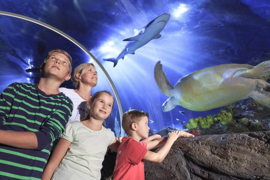 SEA LIFE Timmendorfer Strand Ticket - Key things to know before you go