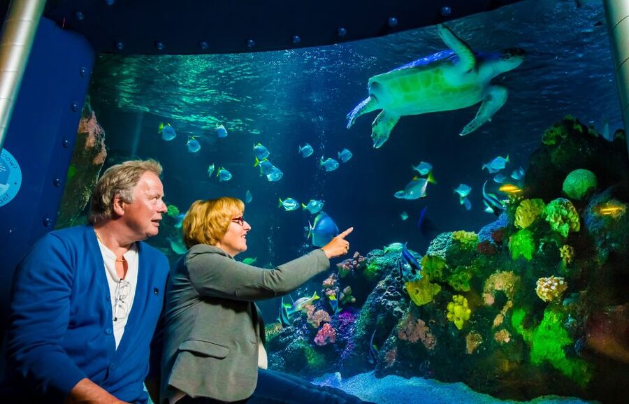 SEA LIFE Timmendorfer Strand Ticket - Entering the 11 Themed Underwater Worlds (and why the route feels smart)