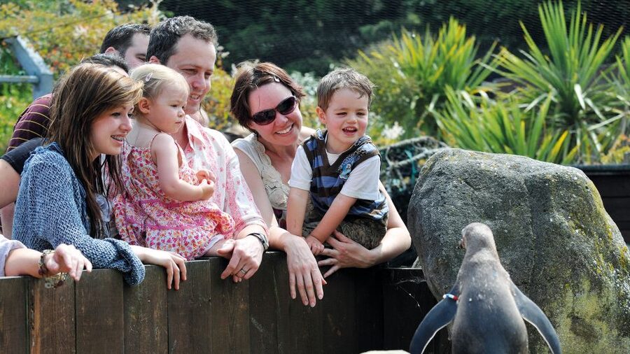 Sea Life Weymouth Admission Ticket - Ticket value: is $22.90 worth your time?