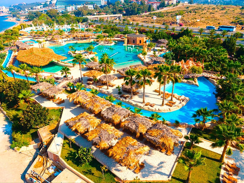 Seapark: Swimming in Pool Aquarium with Authentic Creatures - Dolphin show: included, but not a swim-with-dolphins package