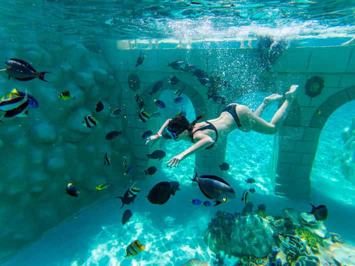 Seapark: Swimming in Pool Aquarium with Authentic Creatures - Sealanya Seapark in Antalya: what this giant aquarium pool really is