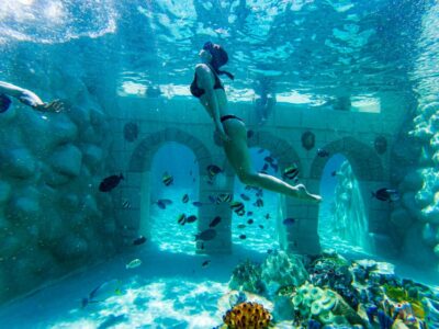 Seapark: Swimming in Pool Aquarium with Authentic Creatures - Getting there from Side or Alanya: the 7-hour day and how to plan it