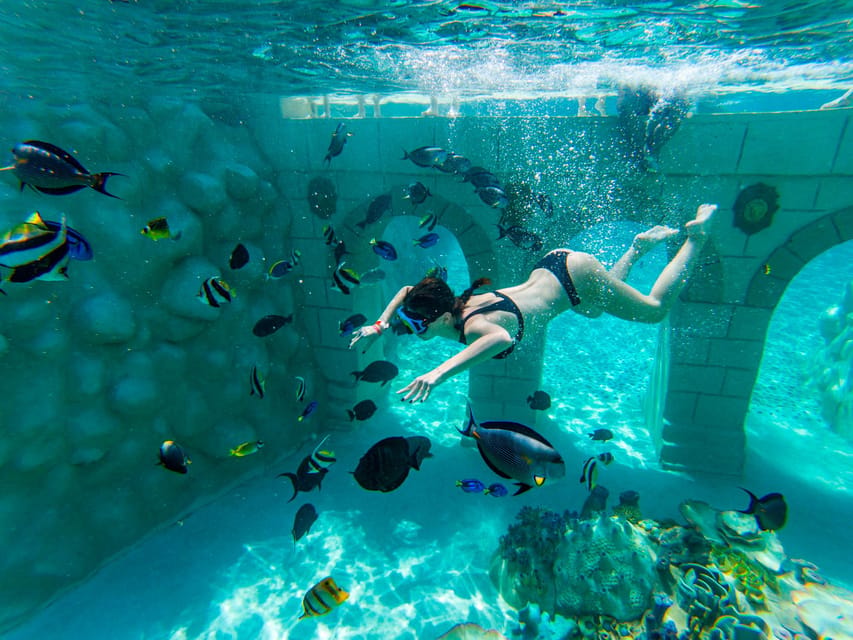 Seapark: Swimming in Pool Aquarium with Authentic Creatures - The rays pool: feeding and touching, with the right kind of excitement