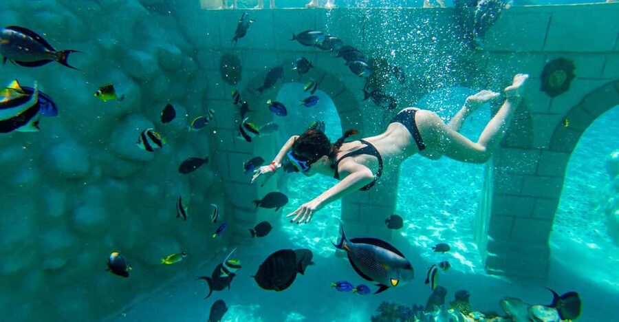 Seapark: Swimming in Pool Aquarium with Authentic Creatures - Freshwater breaks: the 300-meter lazy river, kids pools, and shallow cooling ponds