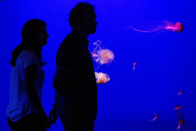 Seville Aquarium Admission Ticket - Why Seville’s aquarium is themed like a world expedition