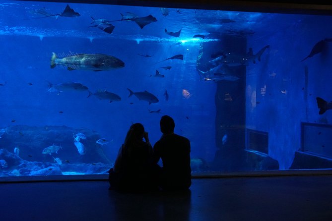 Seville Aquarium Admission Ticket - Axolotls in Seville: regeneration plus a conservation message