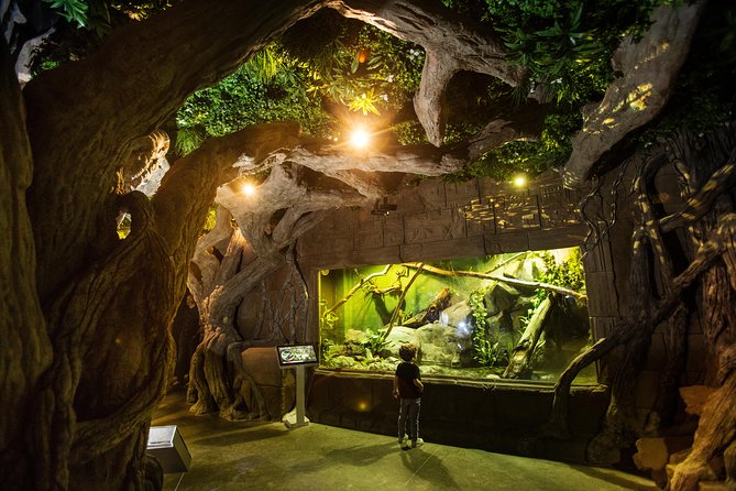 Seville Aquarium Admission Ticket - Jellyfish and the “wait for it” displays