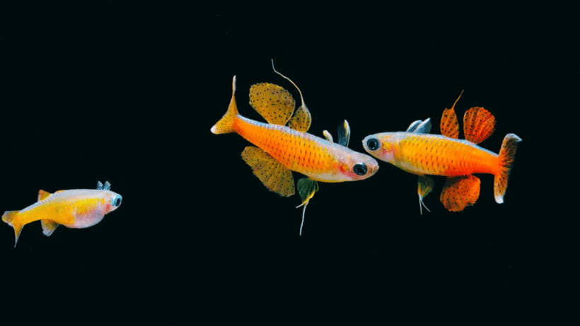 Shanghai: The Marine Wonders at Shanghai Ocean Aquarium - FAQ