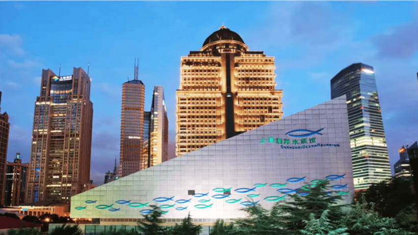Shanghai: The Marine Wonders at Shanghai Ocean Aquarium - Themed Marine Zones: China Meets the Wider Ocean