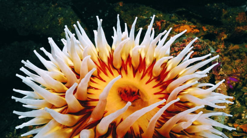 Shanghai: The Marine Wonders at Shanghai Ocean Aquarium - Logistics That Matter: Tickets, Entry, and Getting Through Smoothly