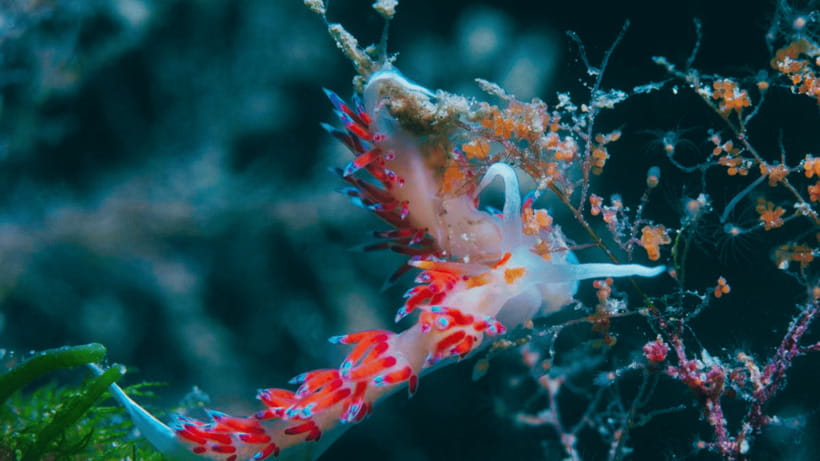 Shanghai: The Marine Wonders at Shanghai Ocean Aquarium - What to Bring (and What to Leave Out)