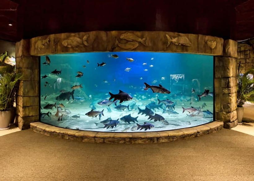 Siem Reap: Angkor Wildlife & Aquarium Entrance Ticket - Key highlights worth knowing