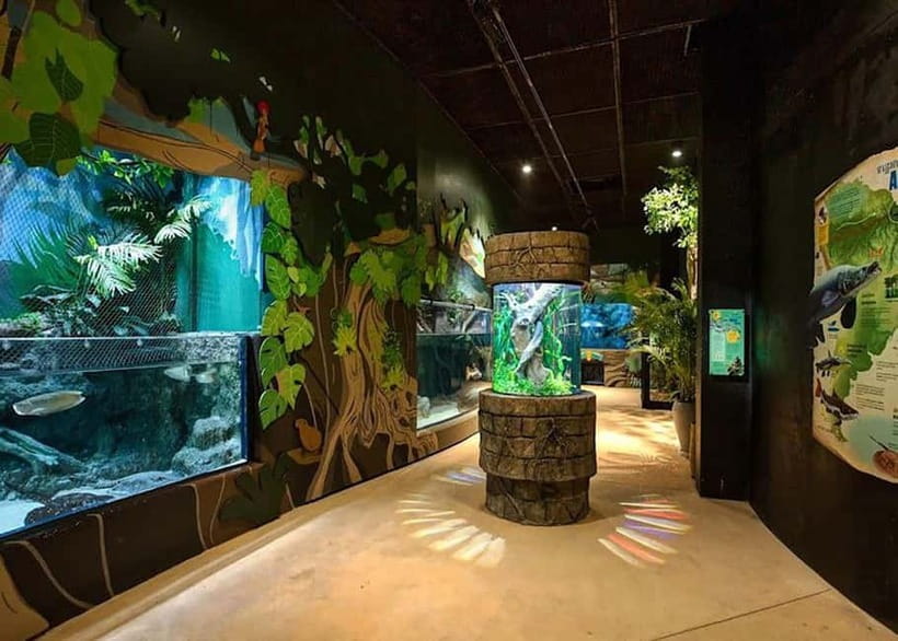 Siem Reap: Angkor Wildlife & Aquarium Entrance Ticket - Wildlife sanctuary zone: rescued animals, native species, and clean enclosures