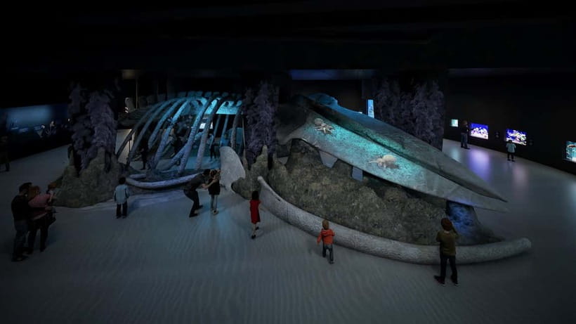 Singapore: Singapore Oceanarium Entrance E-Ticket - Key things that make this Singapore Oceanarium ticket worth your time