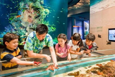 Singapore: Singapore Oceanarium Entrance E-Ticket - Research and Learning Centre: where the ocean story becomes personal
