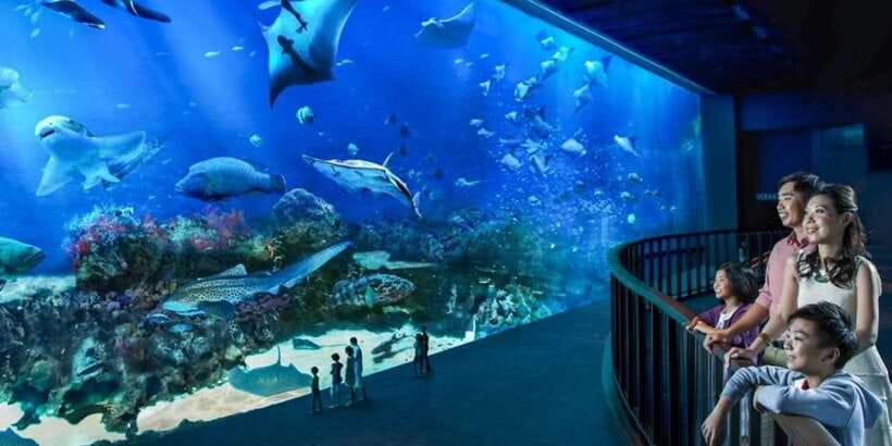 Singapore: Singapore Oceanarium Entrance E-Ticket - Opening celebrations: workshops, installations, presentations, and how to use them