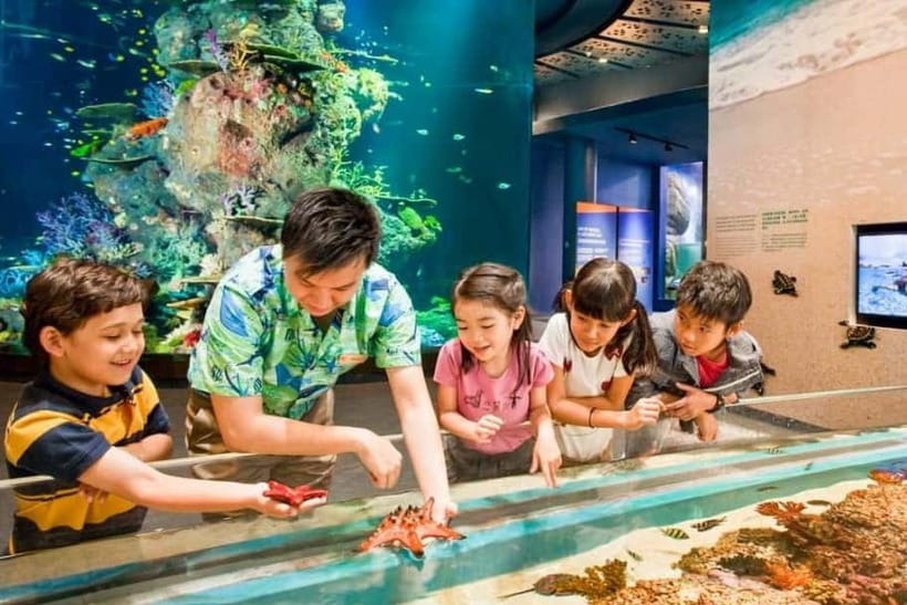 Singapore: Singapore Oceanarium Entrance E-Ticket - Research and Learning Centre: where the ocean story becomes personal