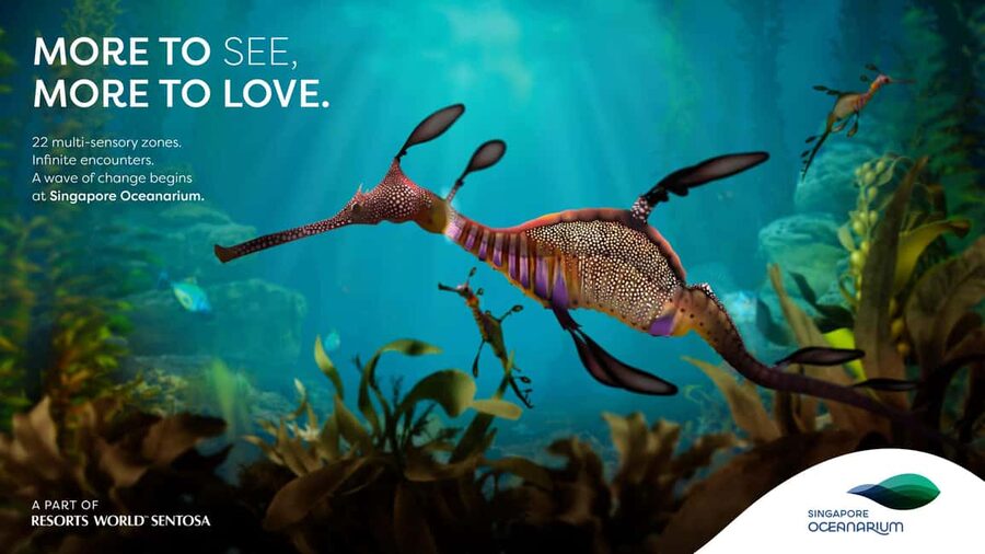 Singapore: Singapore Oceanarium Entrance Ticket - Start With the Kreisel Tank of 5,000+ Moon Jellyfish