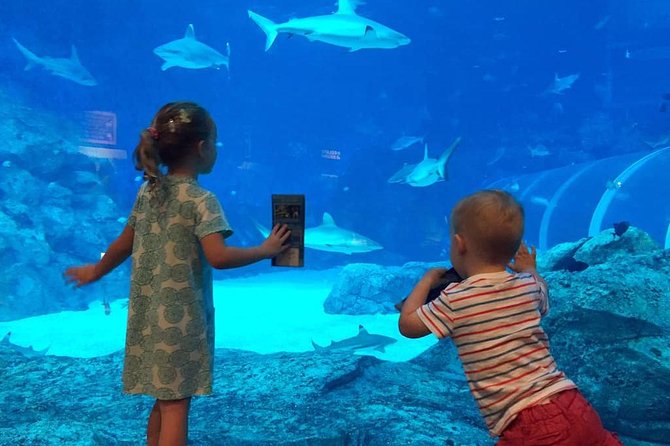 Singapore Universal Studio & S.E.A Aquarium-COMBO One-Day Pass(Shared transfer) - The 8-hour game plan: timing on Sentosa Island