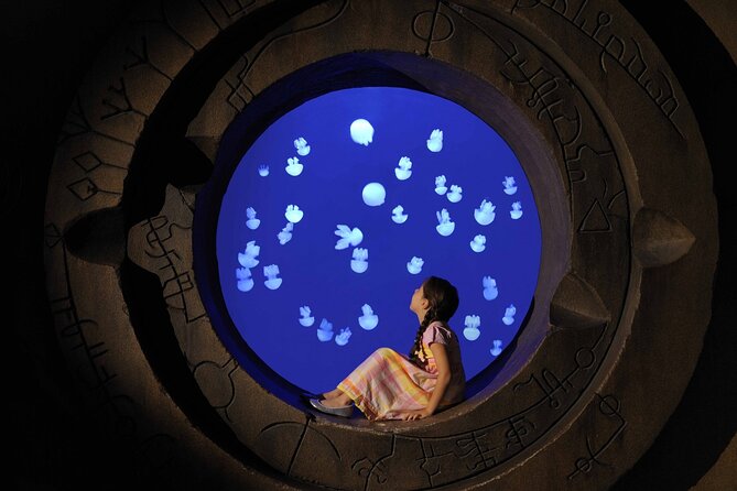 Skip The Line : Atlantis Lost Chambers Aquarium - Key things that make this ticket worth your time
