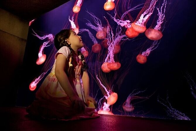 Skip The Line : Atlantis Lost Chambers Aquarium - Lost Chambers at Atlantis: what you actually see