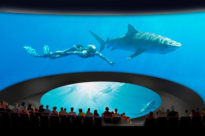 Skip the Ticketing Line: Aquarium of the Pacific General Admission Ticket - Shark Lagoon and the Ocean’s Ultimate Predators