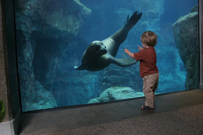 Skip the Ticketing Line: Aquarium of the Pacific General Admission Ticket - Add-On Options: Feeding, Encounters, Cruises