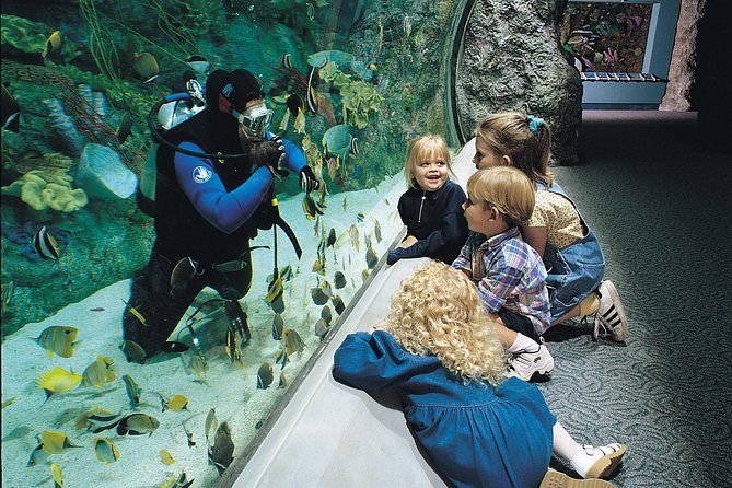 Skip the Ticketing Line: Aquarium of the Pacific General Admission Ticket - Exploring 19 Pacific Habitats in About Three Hours