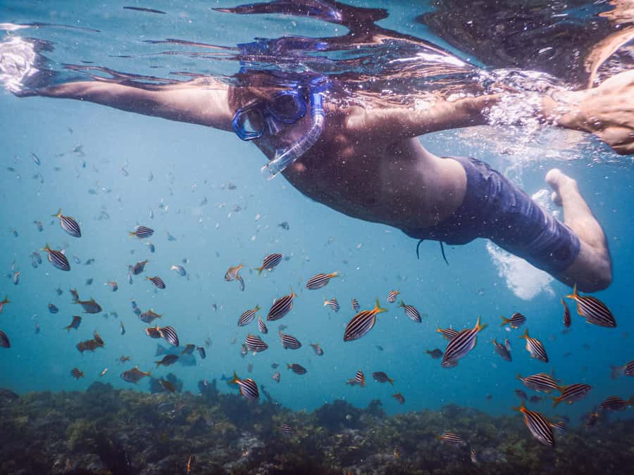 Snorkeling Tour: Discover Sydney’s impressive sea life - Getting set at Clovelly Free Car Park: logistics that affect your mood