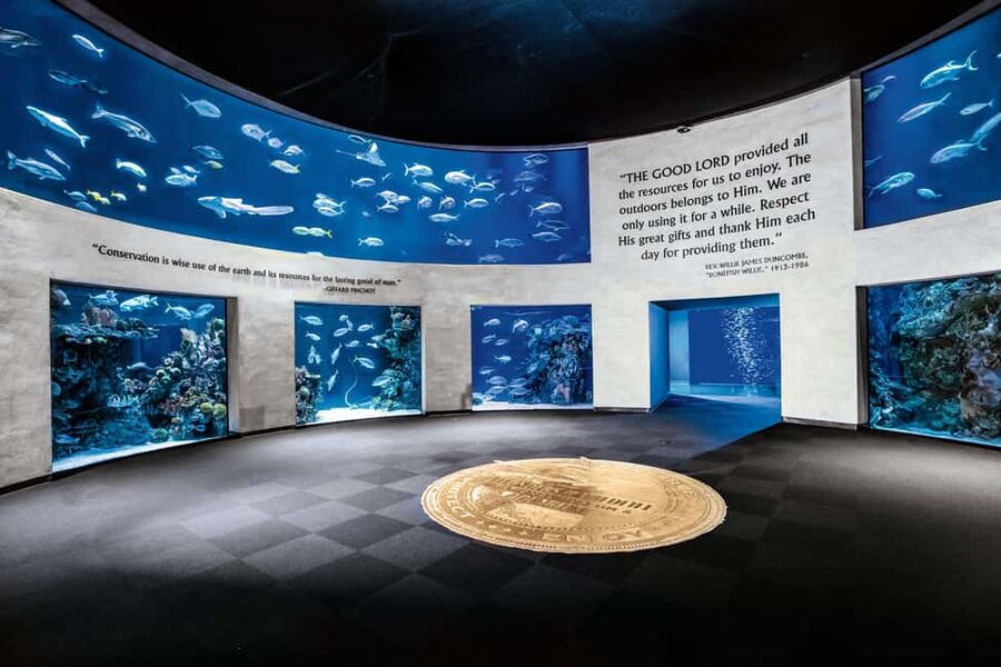 Springfield: Wonders of Wildlife National Museum & Aquarium - Key Takeaways Before You Go