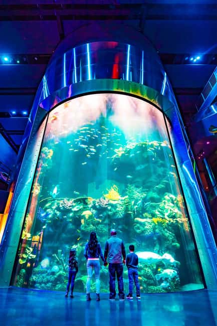 Springfield: Wonders of Wildlife National Museum & Aquarium - Nature’s Best Photography Exhibit: A Break From the Noise