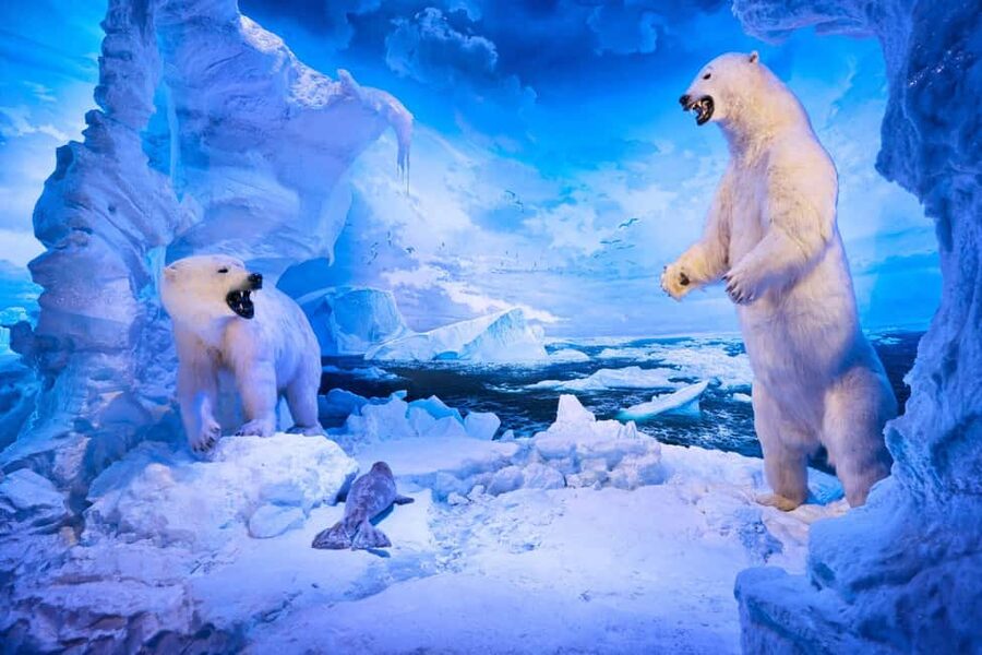 Springfield: Wonders of Wildlife National Museum & Aquarium - Sea of Lights: Holiday Music and Projection Effects