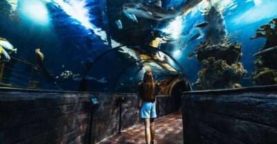 St Paul's Bay: Malta National Aquarium Entry Ticket - Malta landmark themed displays: why it makes the tanks more memorable