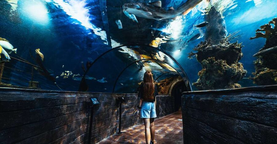 St Paul's Bay: Malta National Aquarium Entry Ticket - Malta landmark themed displays: why it makes the tanks more memorable