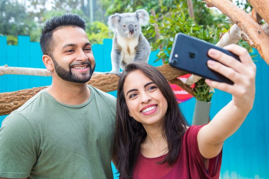 Tampa: ZooQuarium- ZooTampa & Florida Aquarium Combo Ticket - Should you book this ZooTampa + Florida Aquarium combo ticket?
