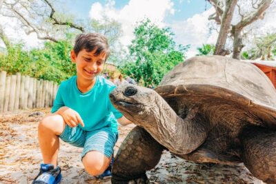 Tampa: ZooQuarium- ZooTampa & Florida Aquarium Combo Ticket - ZooTampa at Lowry Park: habitats, rides, and the shady Florida Boardwalk