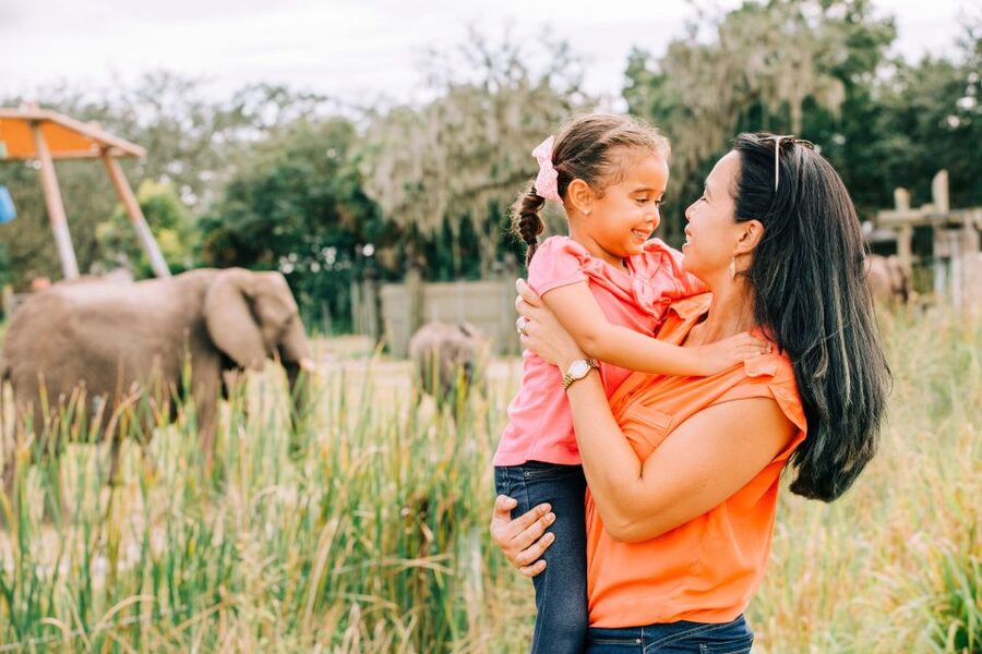 Tampa: ZooQuarium- ZooTampa & Florida Aquarium Combo Ticket - Price and value: is $90 per person a fair deal?