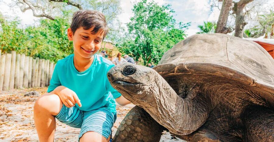 Tampa: ZooQuarium- ZooTampa & Florida Aquarium Combo Ticket - Parking, food, and what to bring (and what not to)