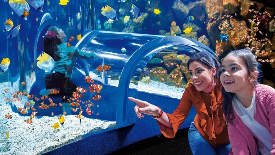 Tenerife: Gran Canaria Full-Day Guided Tour with Aquarium - Should you book this Tenerife-to-Gran Canaria Aquarium and Rum tour?
