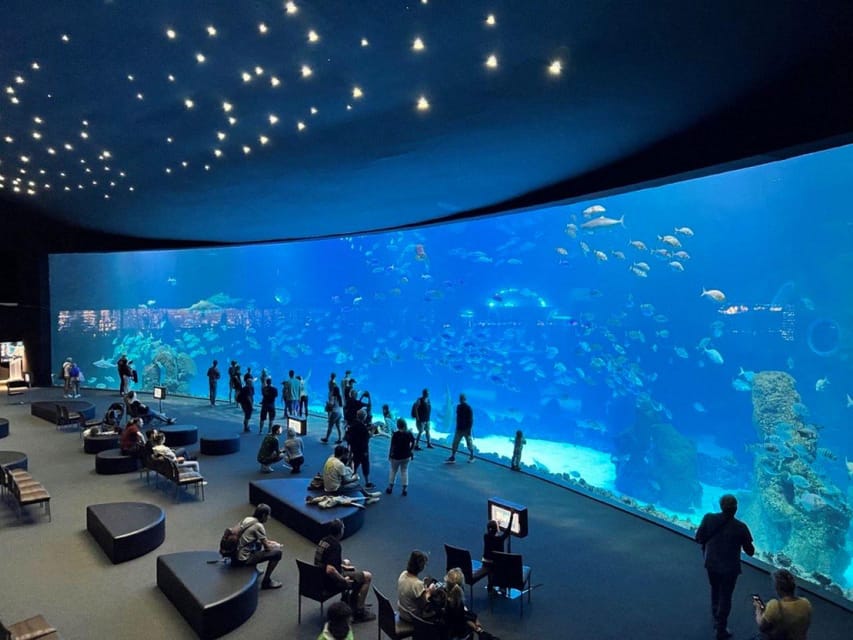Tenerife: Gran Canaria Full-Day Guided Tour with Aquarium - Small warning signs: plan to reduce stress, especially on pickup day