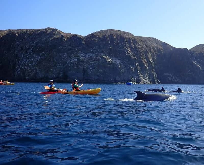 Tenerife: Kayak & Snorkel Tour with Snacks & Sea Life Safari - Key highlights you’ll care about