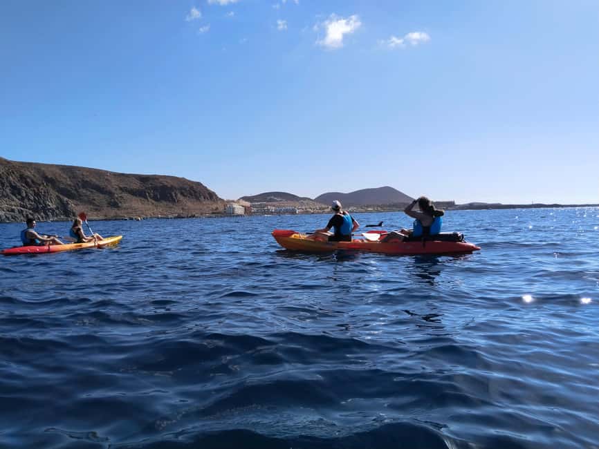 Tenerife: Kayak & Snorkel Tour with Snacks & Sea Life Safari - Should you book MANA KAYAK in Los Cristianos?