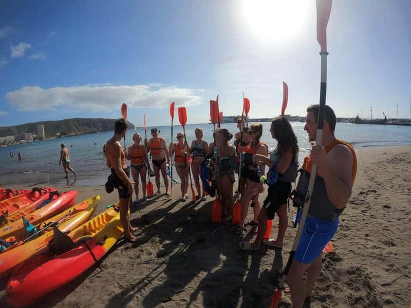 Tenerife: Kayak & Snorkel Tour with Snacks & Sea Life Safari - Snorkeling stop: what you’ll do and what to expect