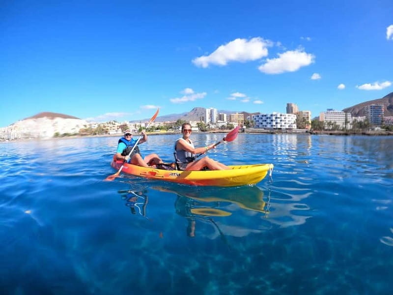 Tenerife: Kayak & Snorkel Tour with Snacks & Sea Life Safari - Wildlife spotting: dolphins and turtles, with honest expectations