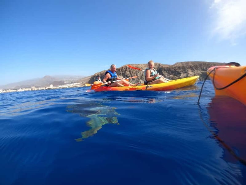Tenerife: Kayak & Snorkel Tour with Snacks & Sea Life Safari - Gear, snacks, and the guide team: value beyond the headline