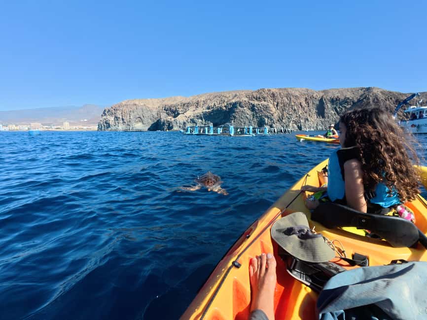 Tenerife: Kayak & Snorkel Tour with Snacks & Sea Life Safari - Who should book this Tenerife kayak and snorkel tour