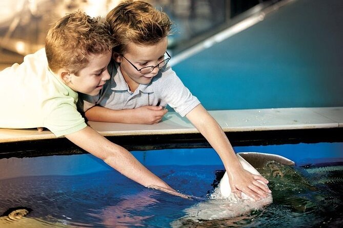 The Florida Aquarium in Tampa General Admission - Downtown Tampa access: parking, transit, and getting there without stress