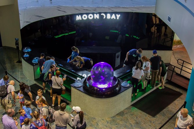 The Florida Aquarium in Tampa General Admission - Hands-on animal encounters and daily program moments